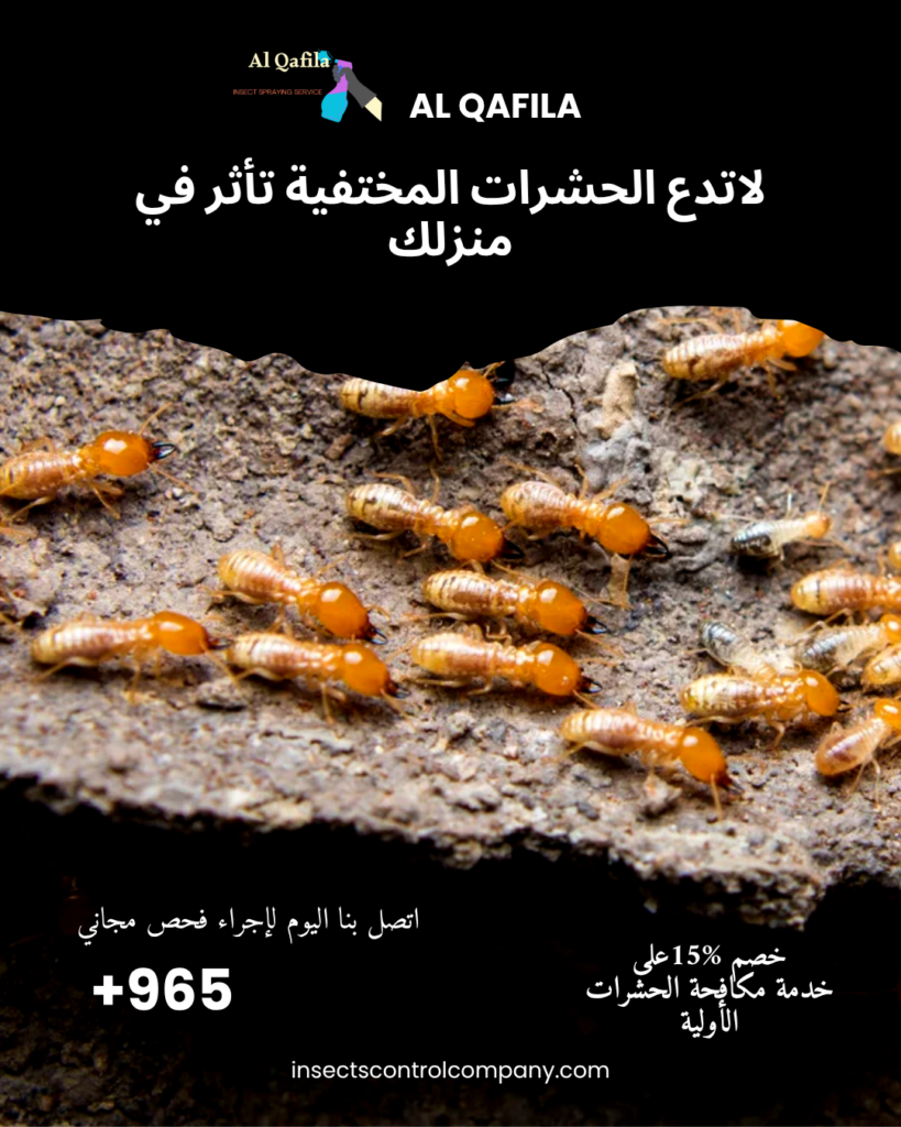 شركة مكافحة حشرات