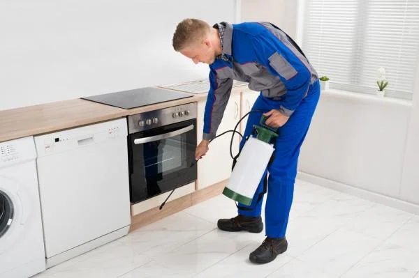 شركة رش حشرات