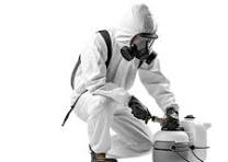 مكافحة حشرات جليب الشيوخ بالكويت