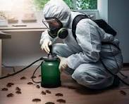 مكافحة حشرات جليب الشيوخ بالكويت