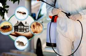 مكافحة حشرات فلل بدقة