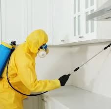 رش حشرات الشهداء بسرعة