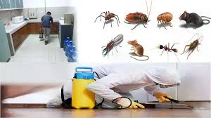 رش حشرات الشهداء بسرعة 