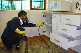 رش مبيدات فلل آمنة