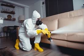 رش مبيدات منازل آمنة