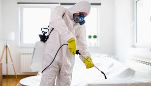 مكافحة حشرات شقق فعالة
