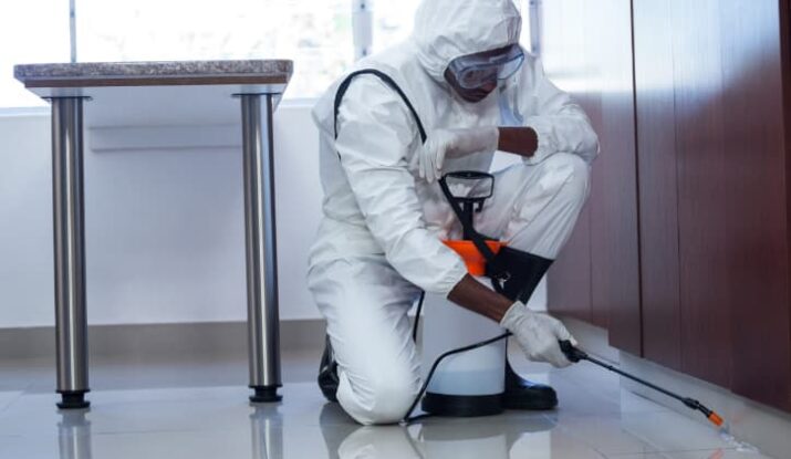 مكافحة حشرات منازل محترف