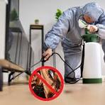 مكافحة صراصير السالمية