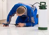 مكافحة صراصير السالمية