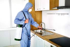 رش مبيدات آمنة للاطفال