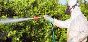 رش مبيدات آمنة للأطفال