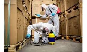 مكافحة النمل الأبيض سريع