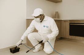 مكافحة النمل الأبيض سريع