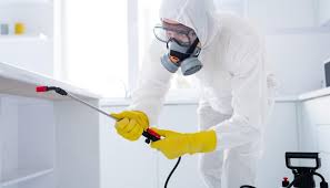 مكافحة حشرات 24 ساعة