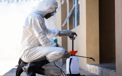 مكافحة حشرات 24 ساعة