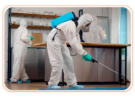 مكافحة حشرات فعالة وآمنة