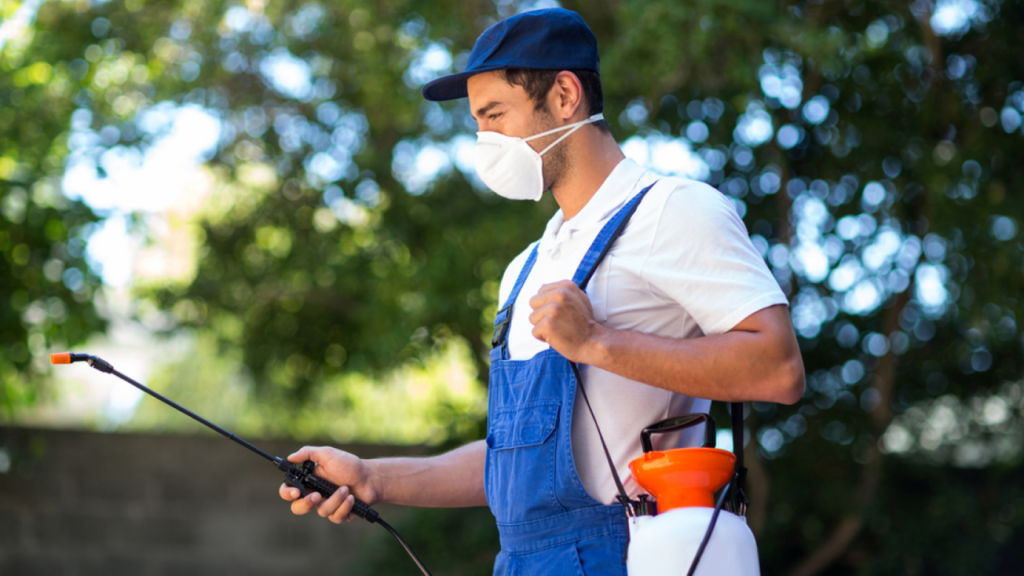 رش مبيدات فلل