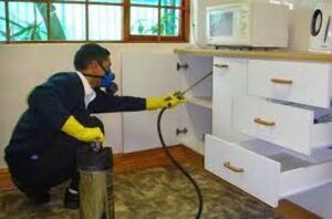 رش مبيدات فلل