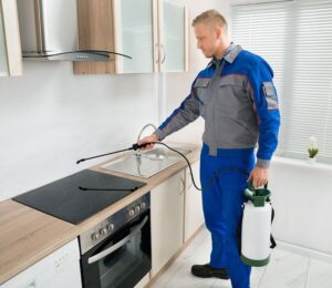 رش مبيدات فلل