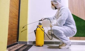 شركة مكافحة النمل.