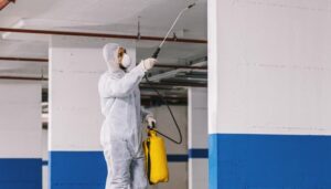 شركة مكافحة النمل.