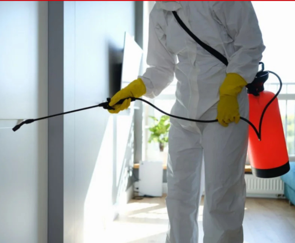 شركة مكافحة النمل.