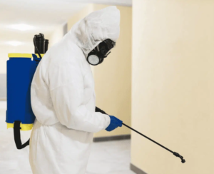 شركة مكافحة النمل.