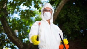 رش حشرات الشهداء