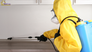 رش مبيدات منازل