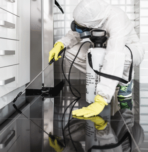 مكافحة حشرات فلل