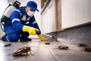 مكافحه صراصير السالمية