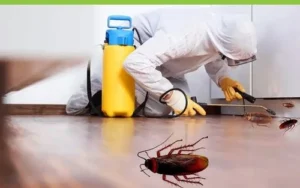مكافحة الصراصير السالمية