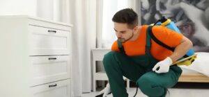 أفضل شركة لمكافحة حشرات بالكويت